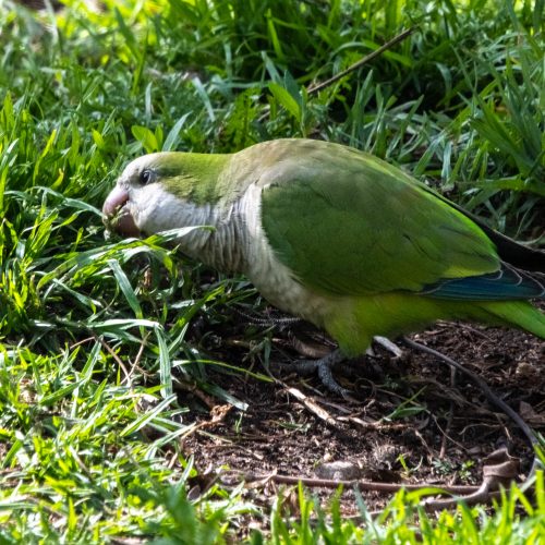 Tag 9+10: Jröne Papajeie