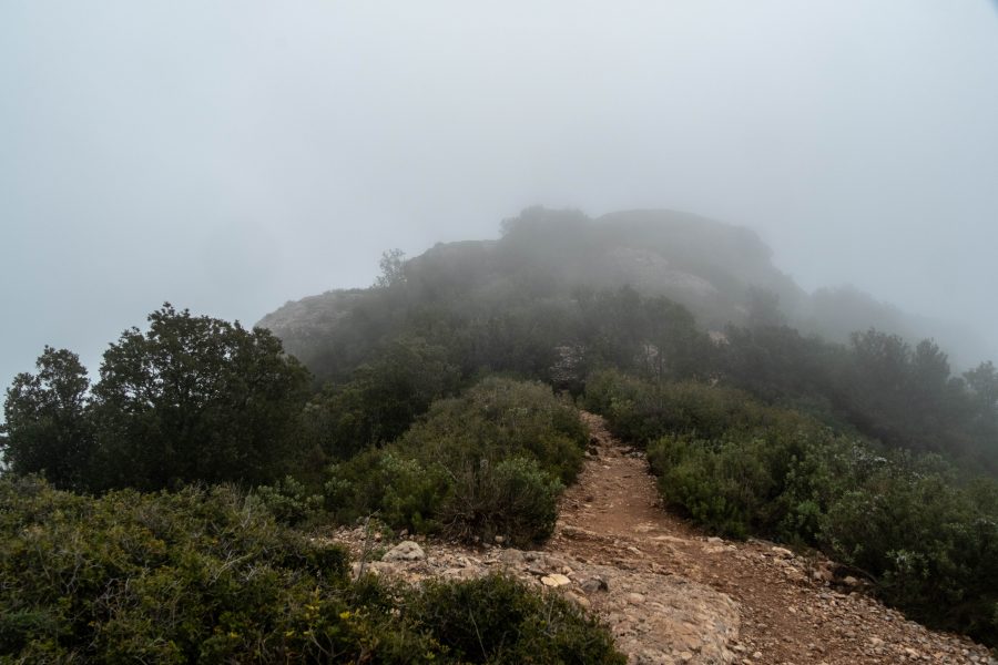 Tag 11+12: Bis in die Wolken