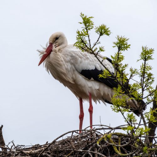 Tag 3+4: Klappern gehört zum Handwerk(er)